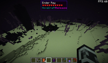 The Ender Ray