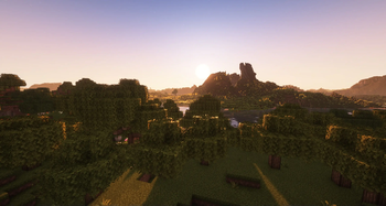 Landscape
