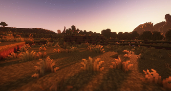 Landscape
