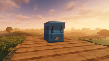 Backpack block