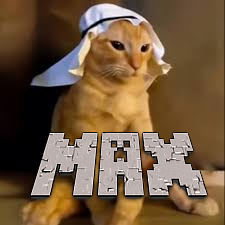 ArabischerKatzenMax