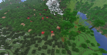 Many forests