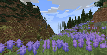 Acidental Biomes o' Plenty compat