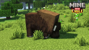 MineAndChill