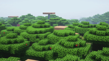 Just a dark oak forest with shaders
