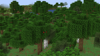 Just a forest