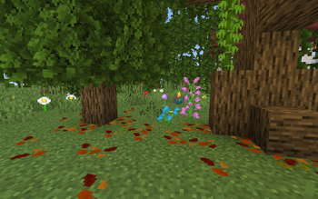 Leaf Litter Showcase 2