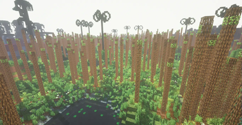 Horsetail Tropics Biome in Panacea