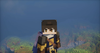 Pack banner