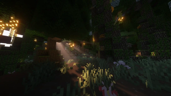 Forest Test Shot 1
