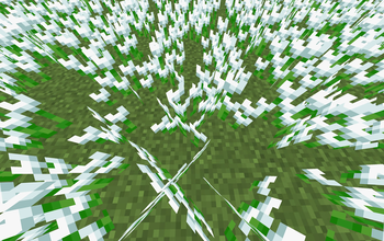 White Tulips