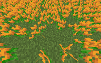 Orange Tulips