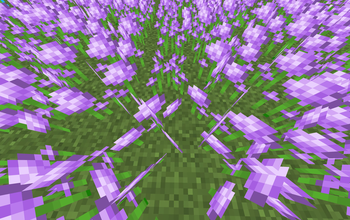 Alliums