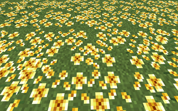 Golden Dandelions