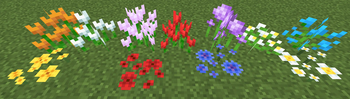 Full flower collection