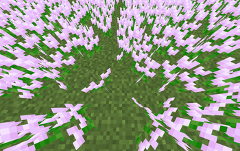 Pink Tulips