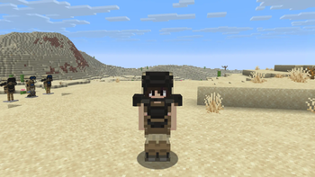 Iron armor texture on player