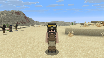 Armor texture on player