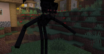 Plagued Enderman
