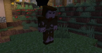 Walker