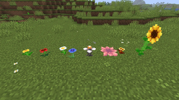 Updated Flowers