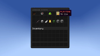 Player Playtime in the server