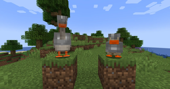 Armors on duck and geese