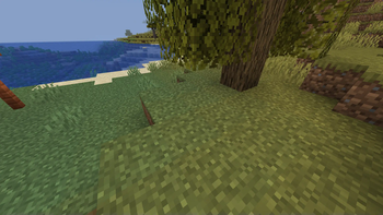 Without Brighter grass