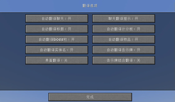 翻译选项