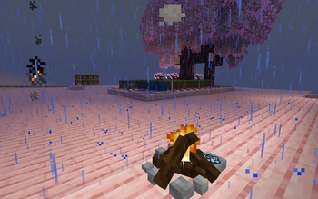 bonfire