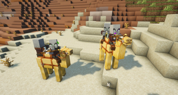 Camel Raiders