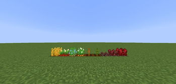Better Crops