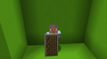 Shield Blocking Tweaks!