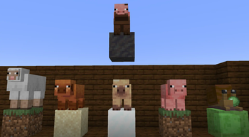 Pig Variant Textures