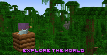 Explore the world