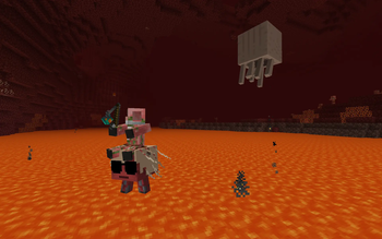 Strider Jockey