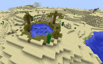Desert Oasis