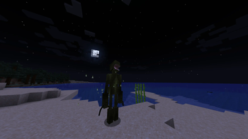 Sightseer Howling in the Night
