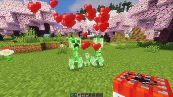 How the baby creeper was born