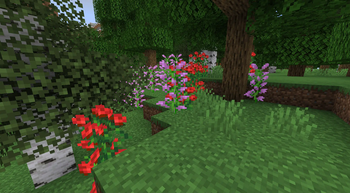 Updated Textures
