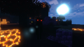 Burnt Forest