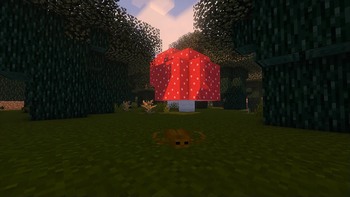Nuclear Forest