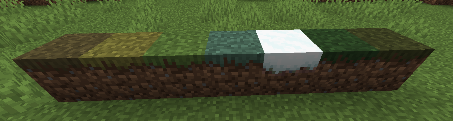 Top view of the grass blocks