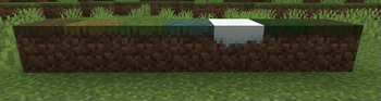 View of the grass blocks added by the mod