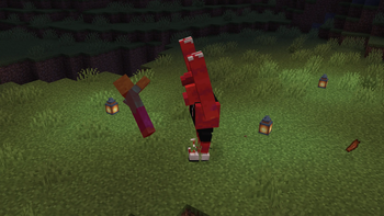 Razorback in Action