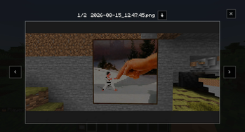 Image viewer