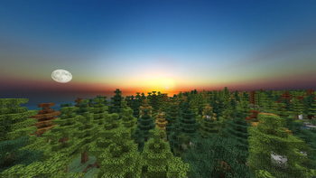 Sunrise
