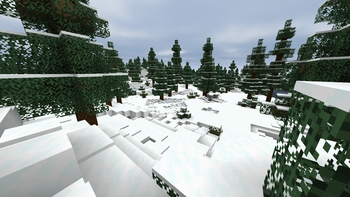 Snowy Forest