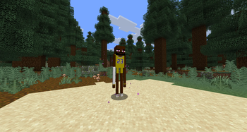 BasketBall Enderman — screenshot 1
