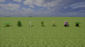 All models of saplings